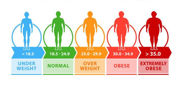 Your BMI Healthy Weight Calculator Results